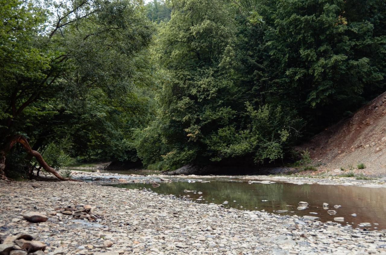 Appartamento Osrodek Wczasow Zdrowotnych Rudawka Rymanowska Esterno foto