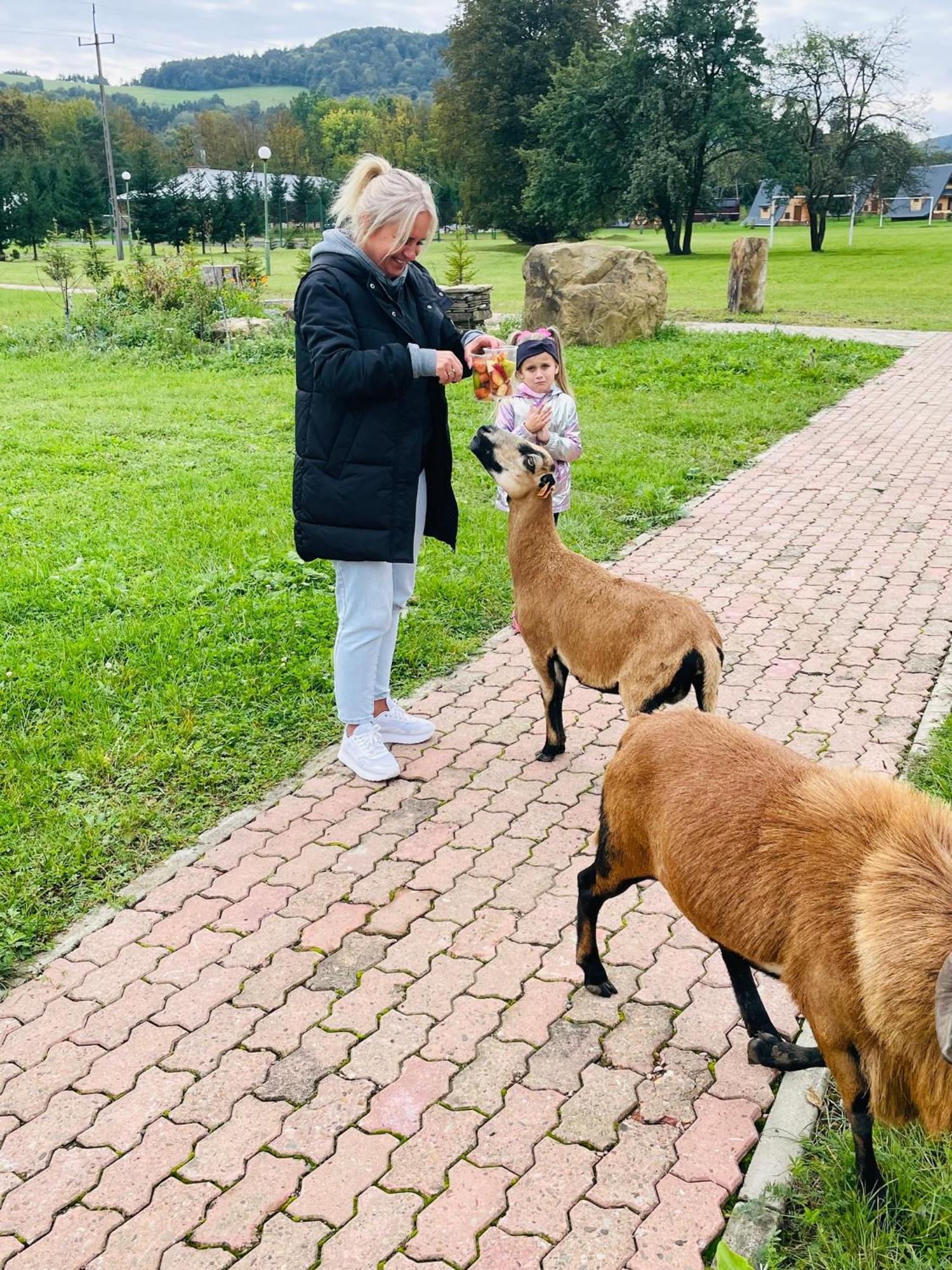 Appartamento Osrodek Wczasow Zdrowotnych Rudawka Rymanowska Esterno foto